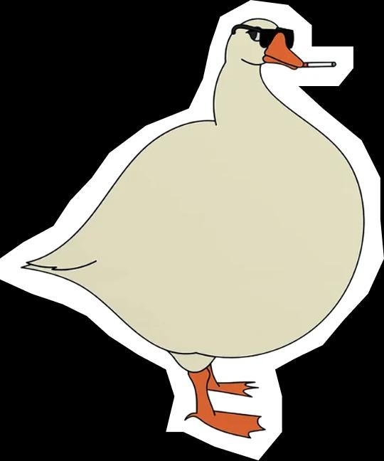 Sticker 1