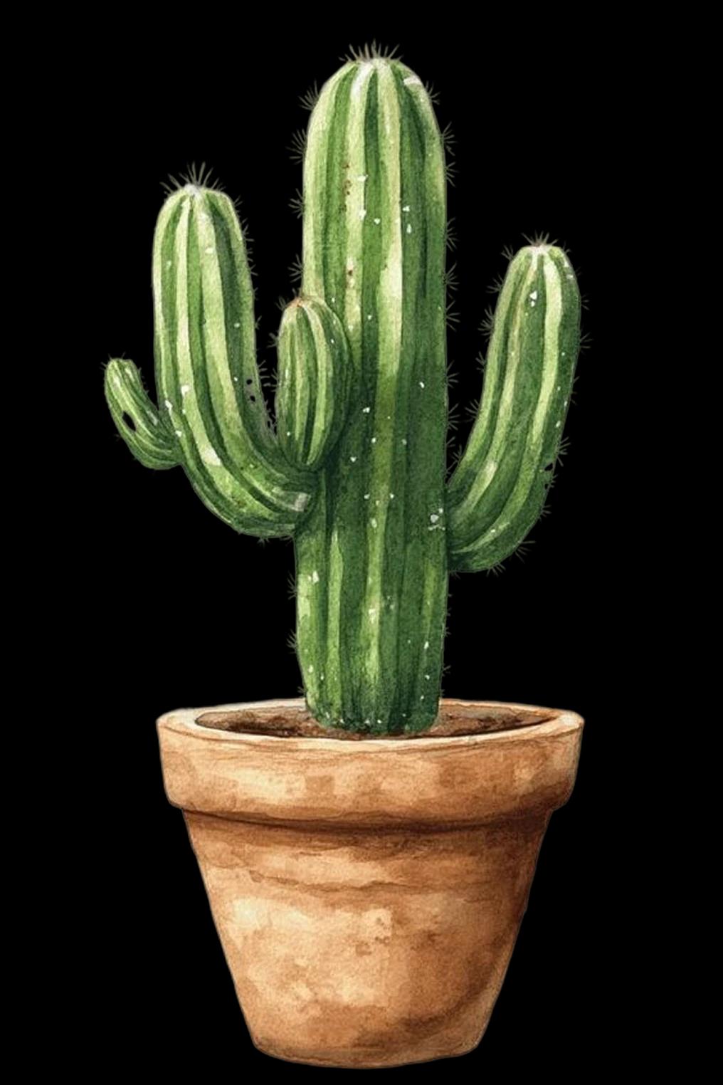Cactus