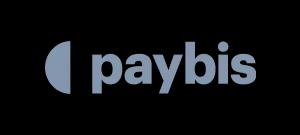 The company logo Paybis