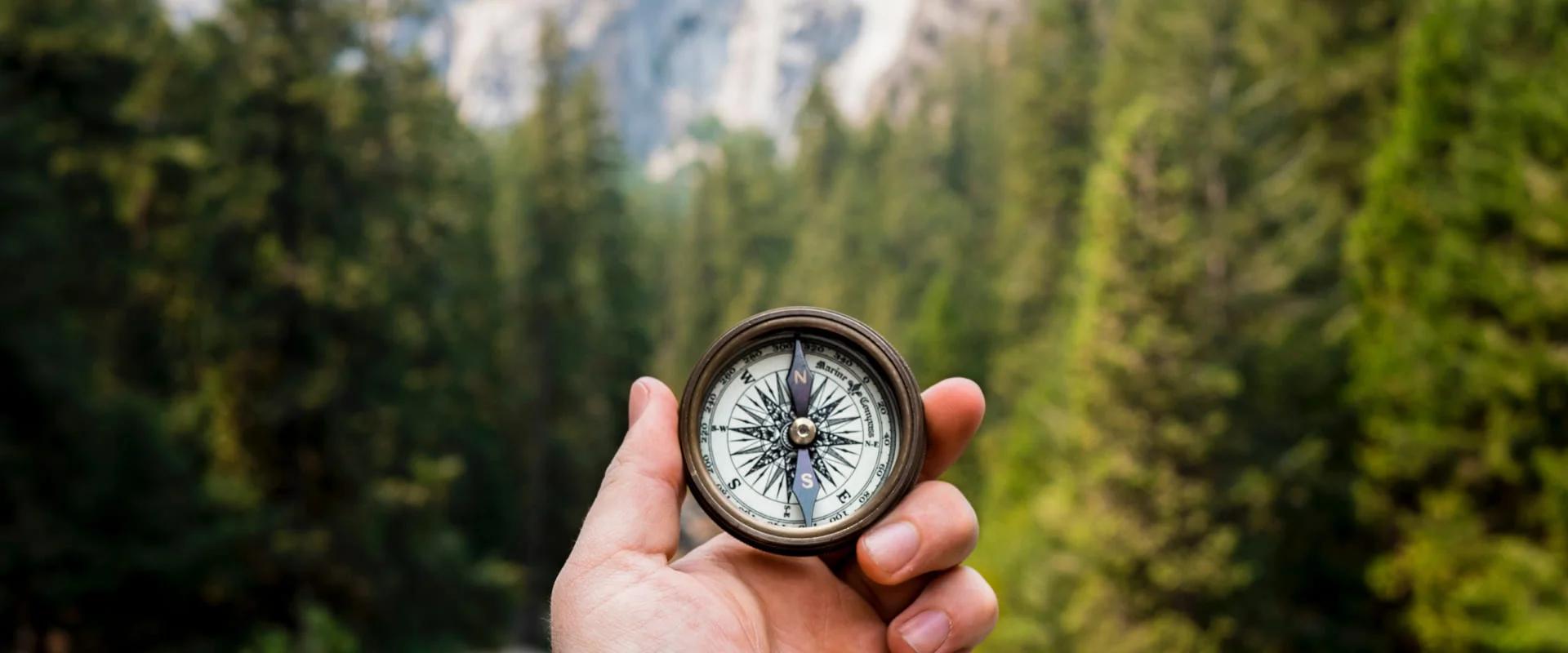 Compass in hand against the background of trees and mountains